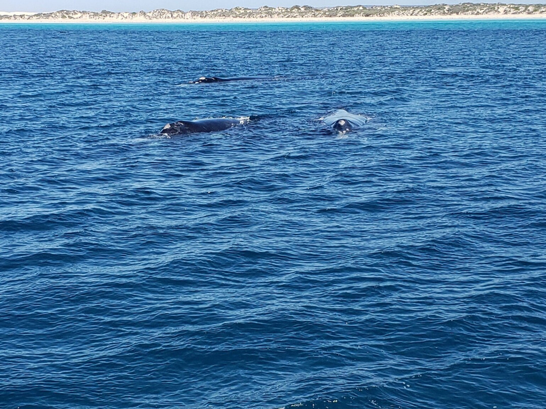 EP Cruises-Fowlers Bay必去景点