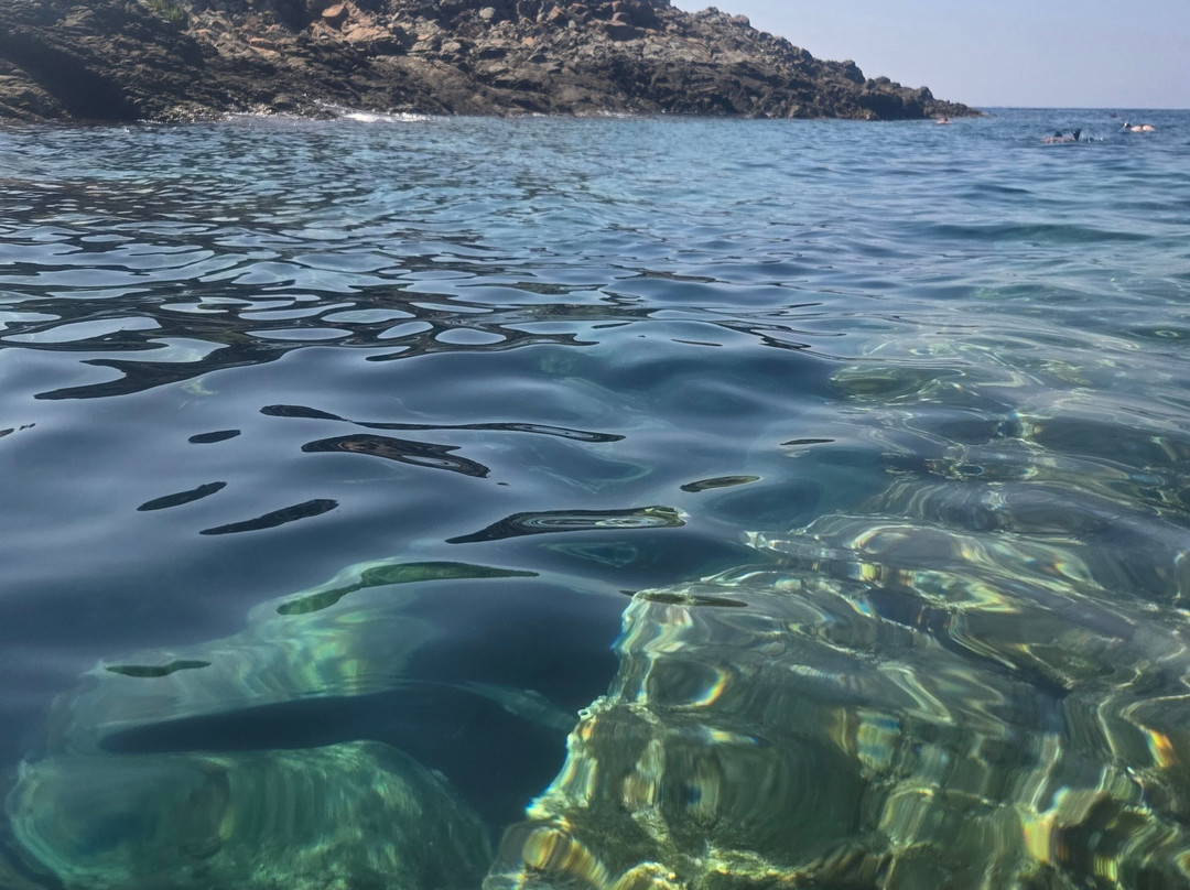 Caletta Rovaglioso-Palmi必去景点