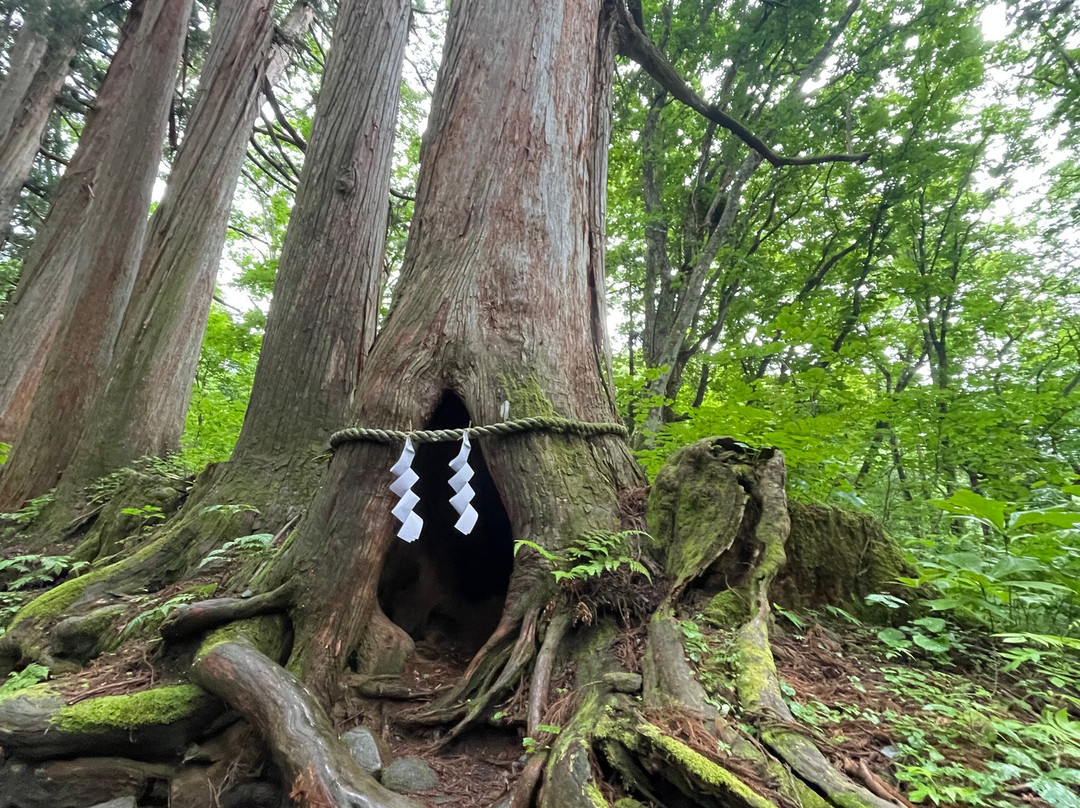 户隐神社-长野县必去景点