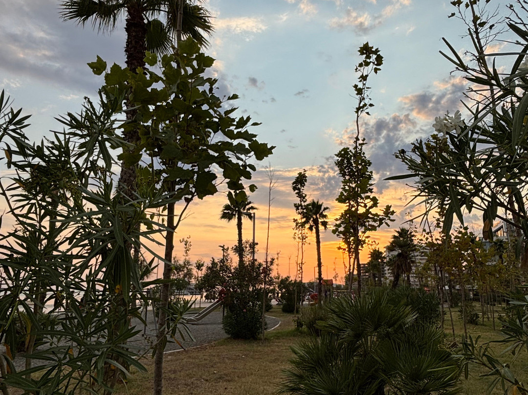 Promenade Park (Shëtitorja "Vollga")-杜勒斯必去景点