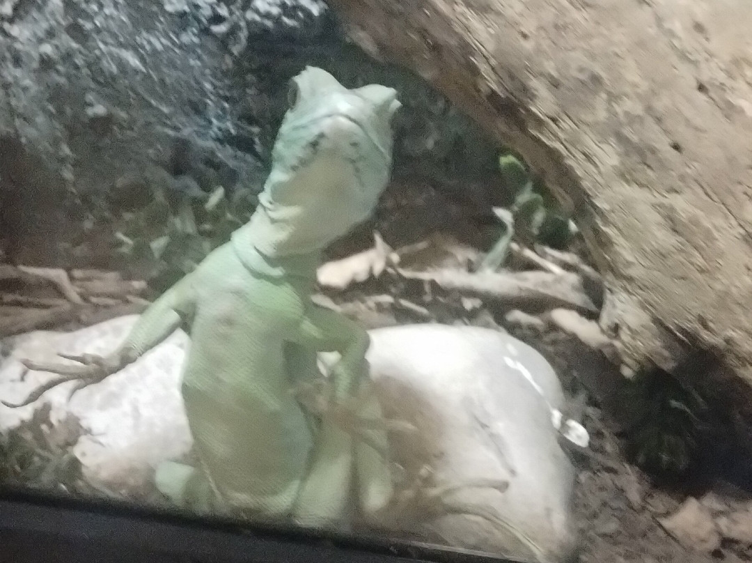 Zoo Parque Loro Puebla-普埃布拉必去景点