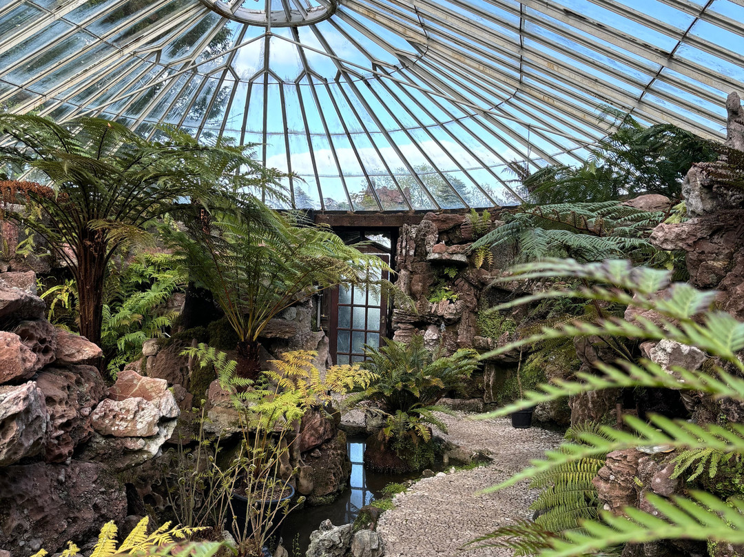 Ascog Hall Fernery and Garden-Ascog必去景点