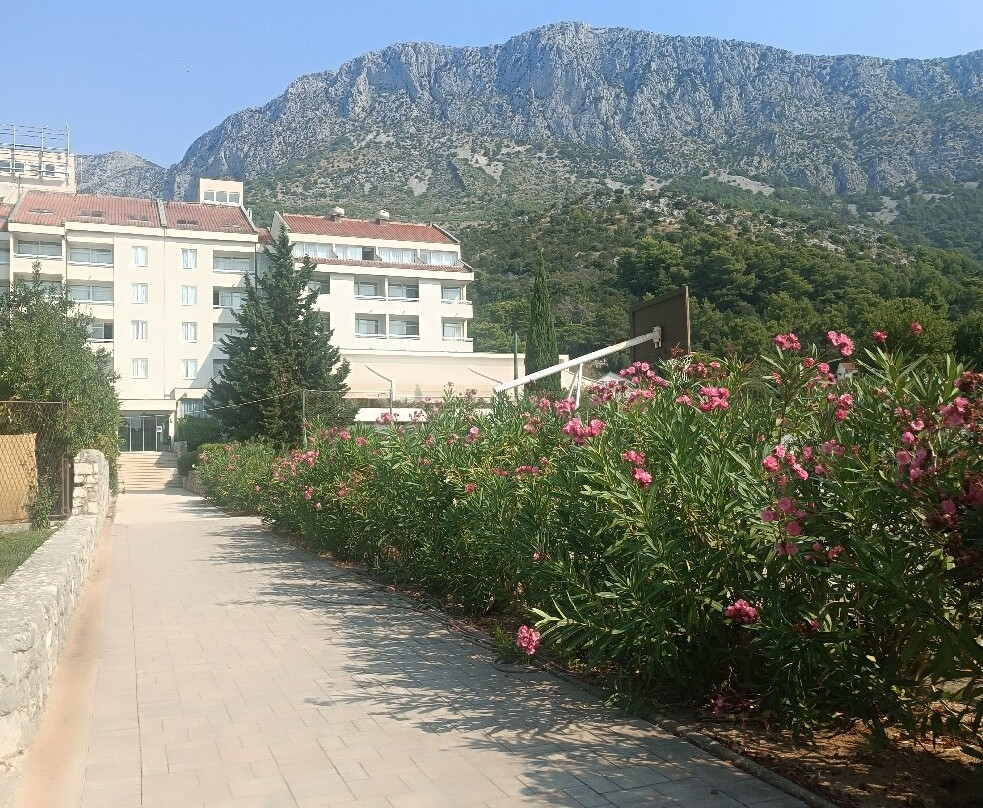Hotel Quercus主图