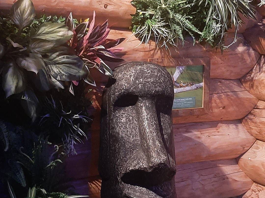 Mission AREKA-Dienne必去景点