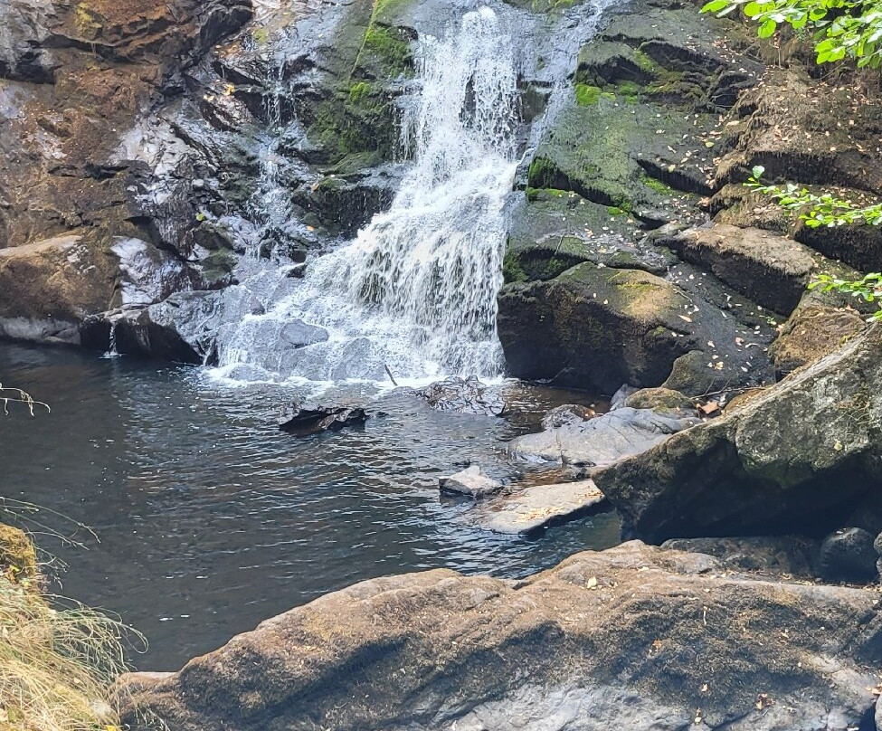 Parc Vuillier-Gimel-les-Cascades必去景点