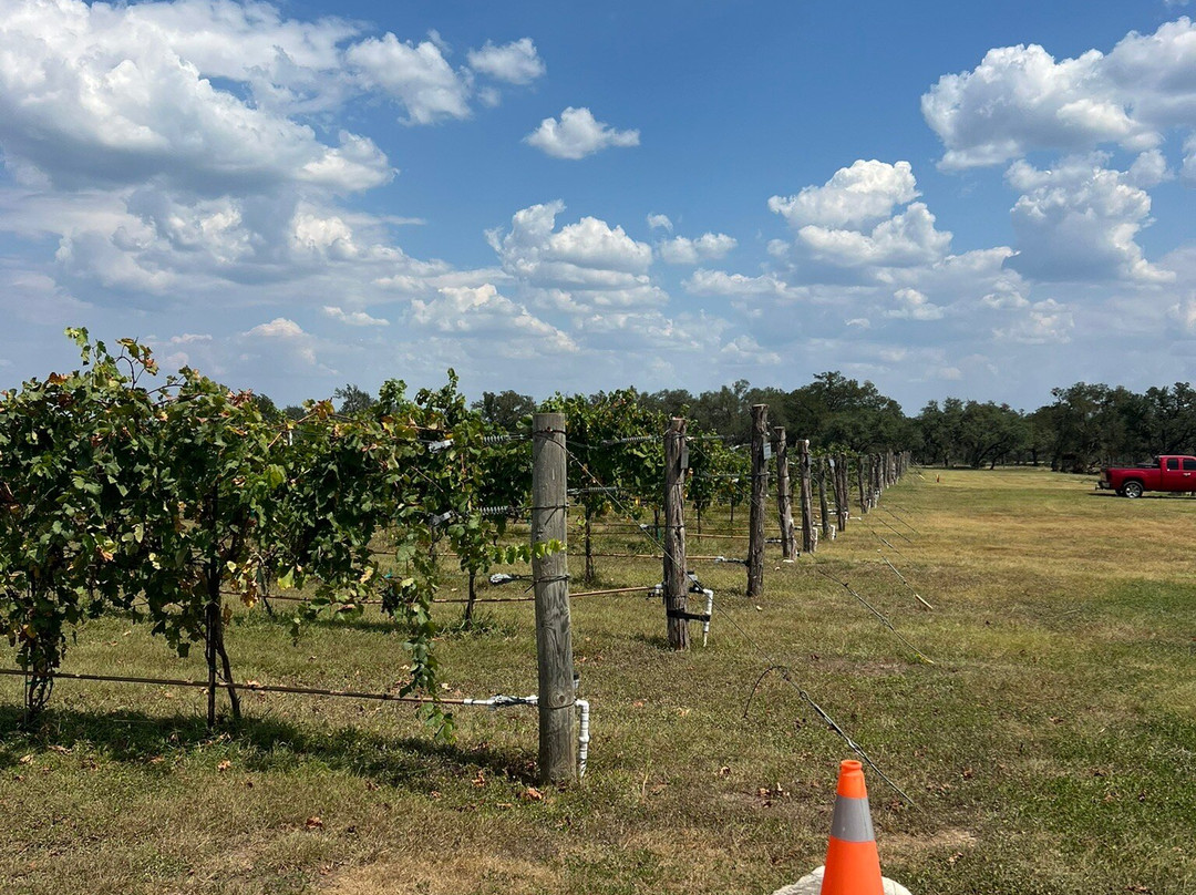 Solaro Estate-Dripping Springs必去景点