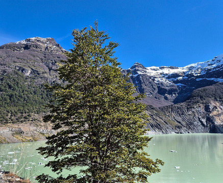 Cerro Tronador-圣卡洛斯-德巴里洛切必去景点