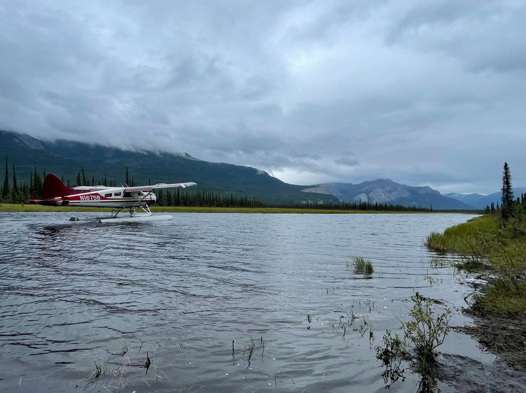 The Lamplighters Adventuring Society-优胜美地国家公园必去景点