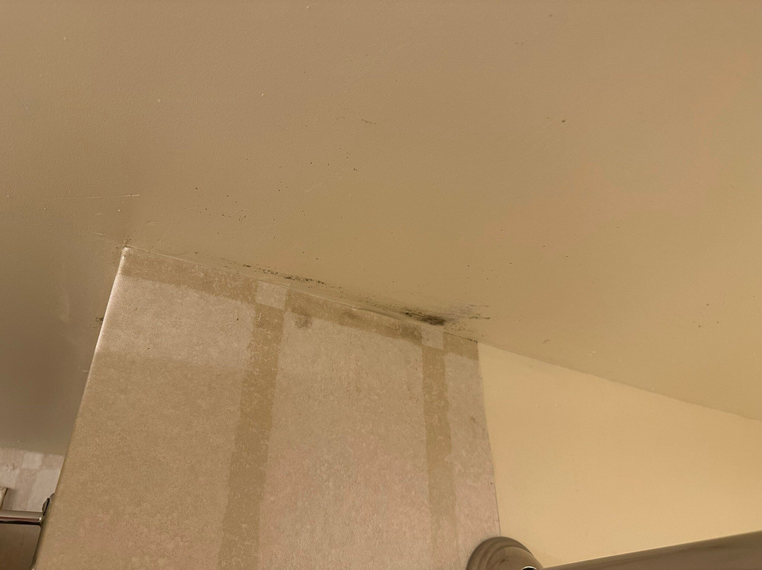 Golden Nugget Laughlin主图