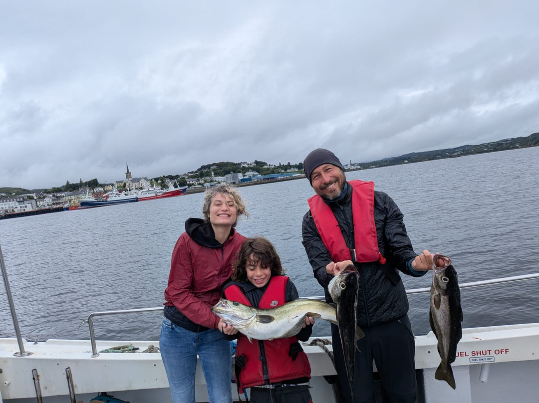 Killybegs Boat Tours-Killybegs必去景点