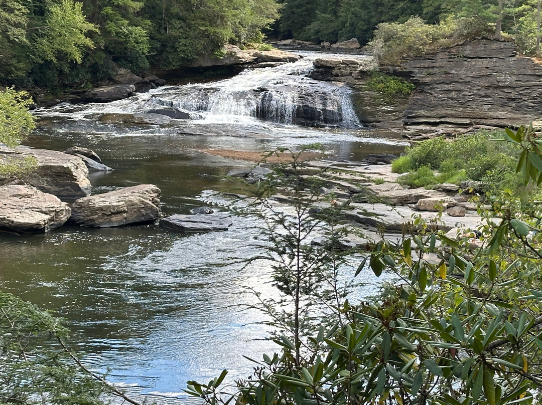 Swallow Falls State Park-Oakland必去景点