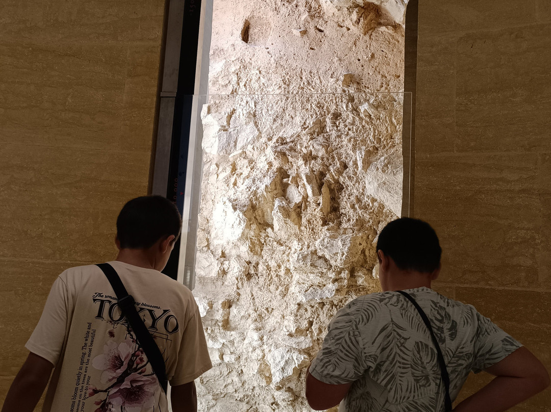 Musee National de Prehistoire-Les Eyzies-de-Tayac-Sireuil必去景点