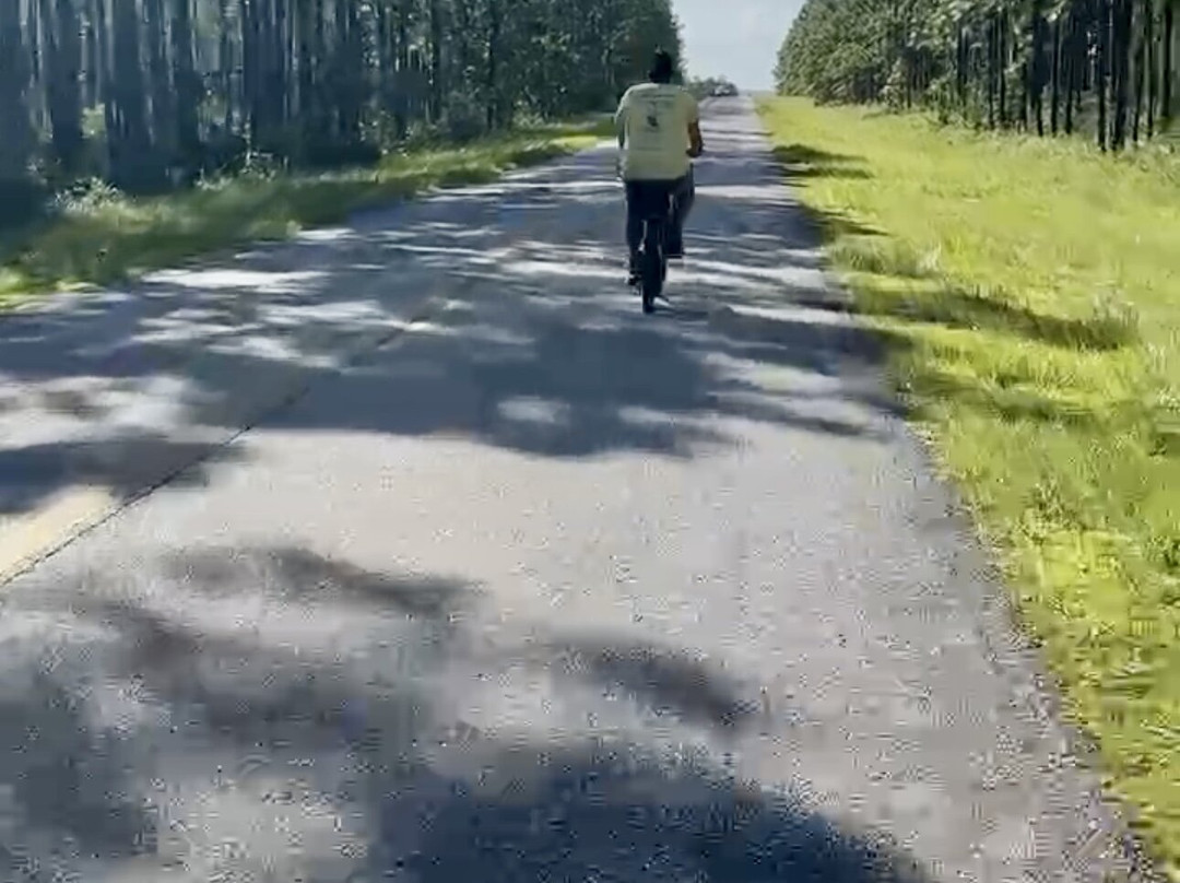 Blackwater Joe's-Holt必去景点