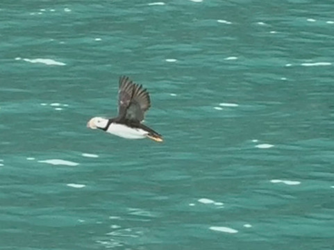 Seacor Tours-苏厄德必去景点