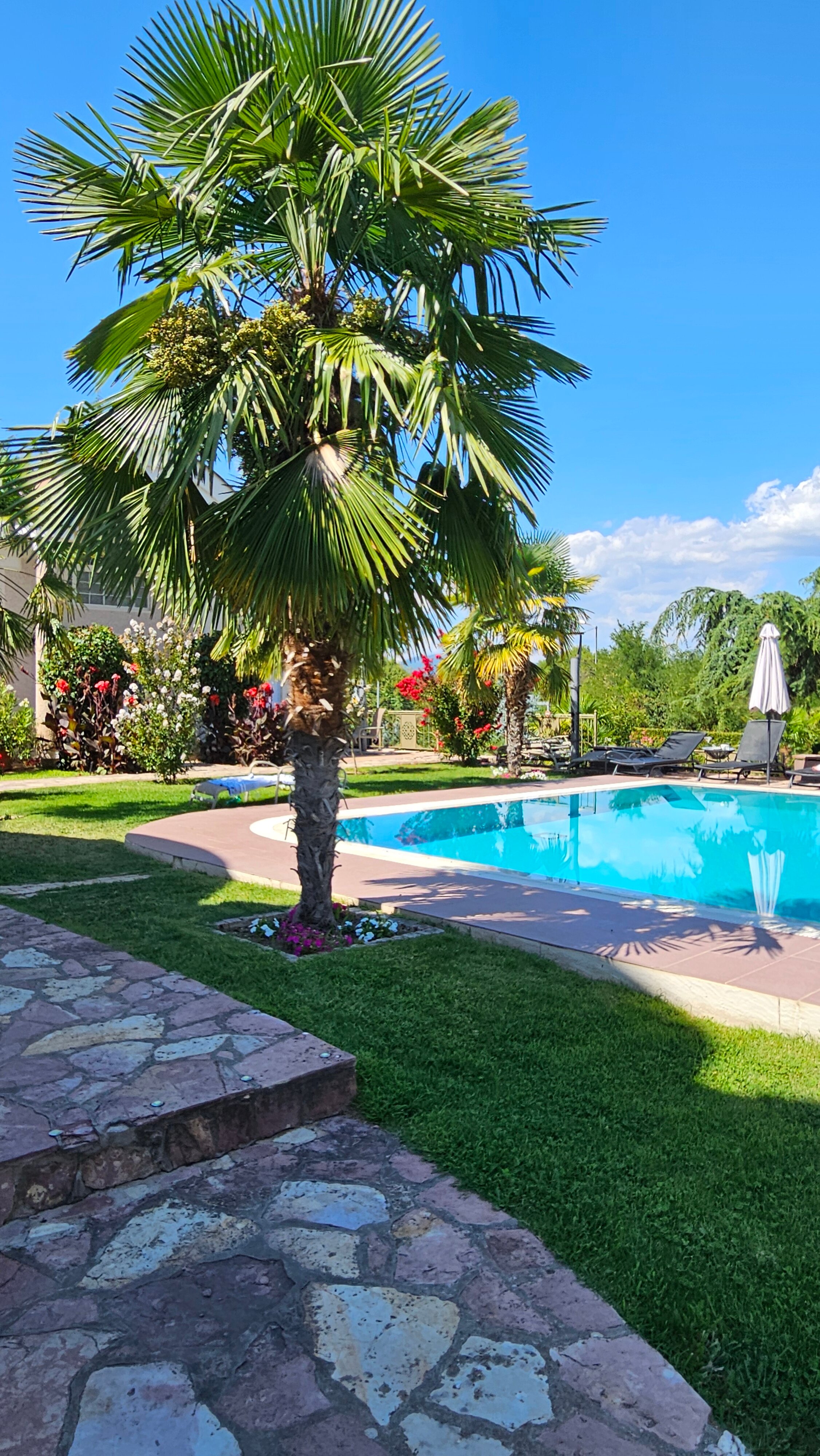 亚历山大别墅及水疗酒店-官方