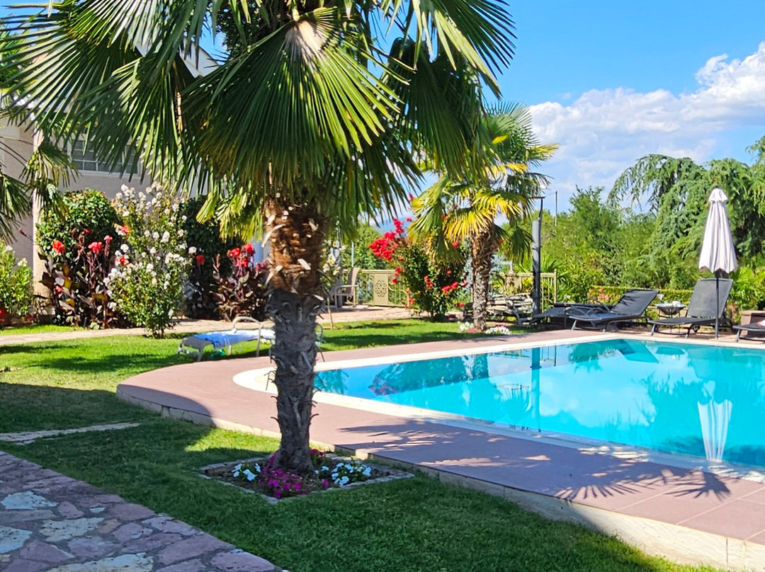 亚历山大别墅及水疗酒店主图