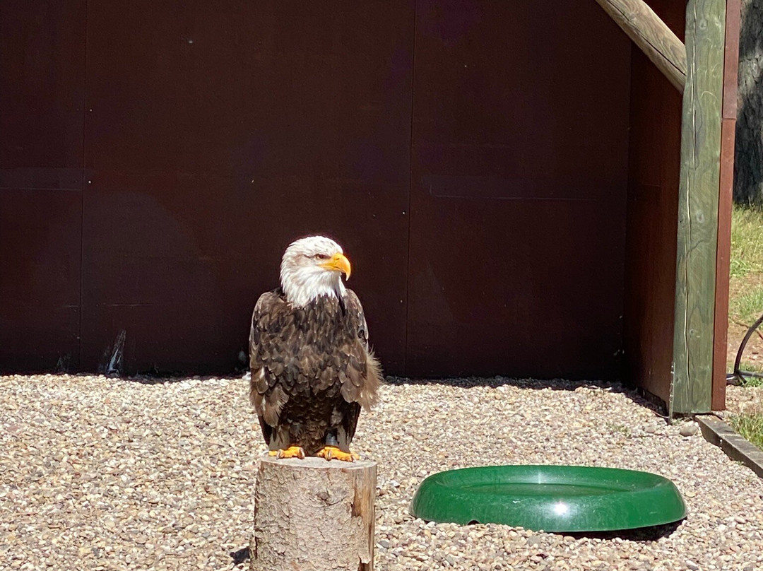 Kurpfalz-Park Wachenheim-Wachenheim an der Weinstrasse必去景点