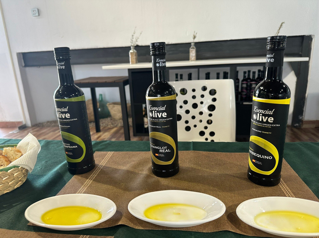 Oleícola San Francisco-Begijar必去景点