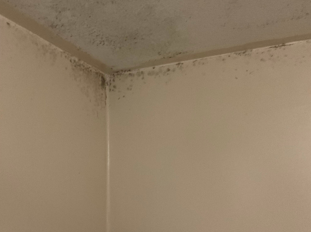 Super 8 by Wyndham Austell/Six Flags主图