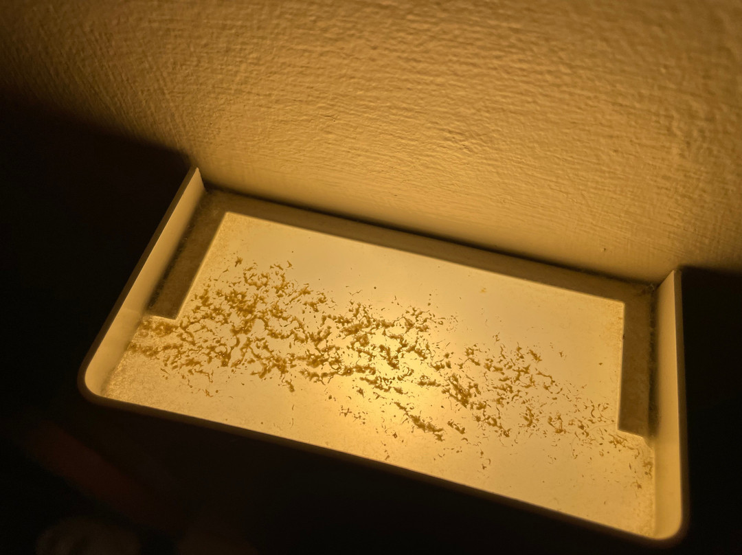 Travelodge Rugeley主图