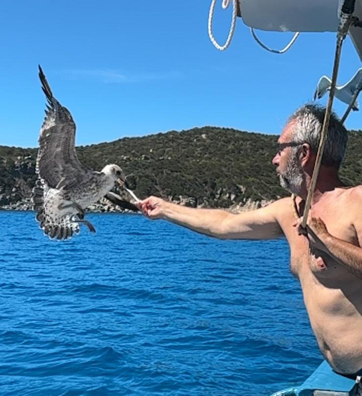 Fiore Di Maggio Escursioni-维拉西谬斯必去景点