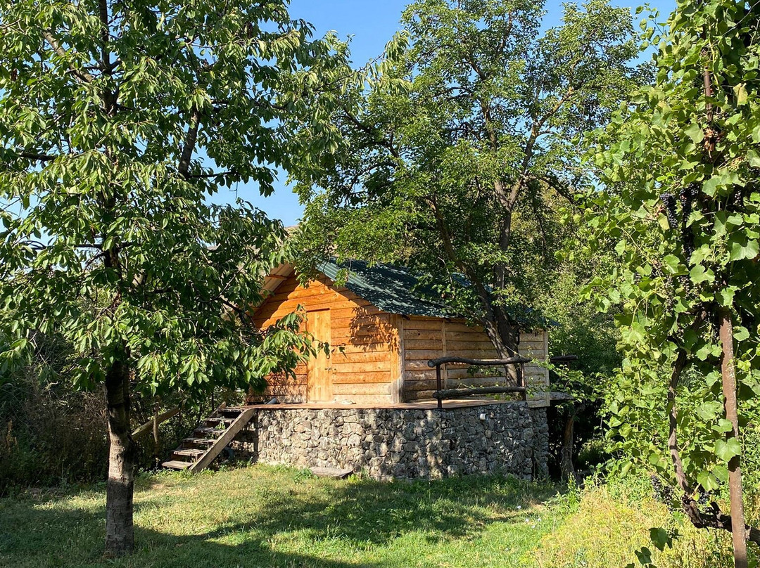 Guest House Aleksandre主图