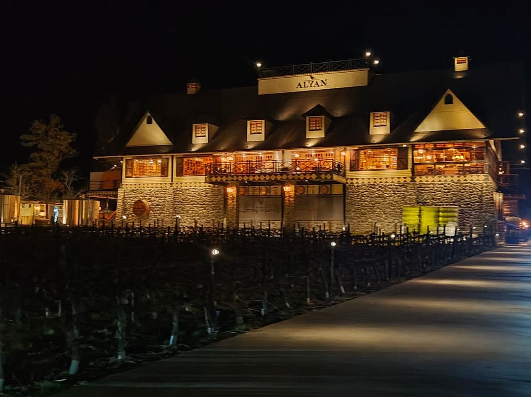 Alyan Family Wines-Pirque必去景点