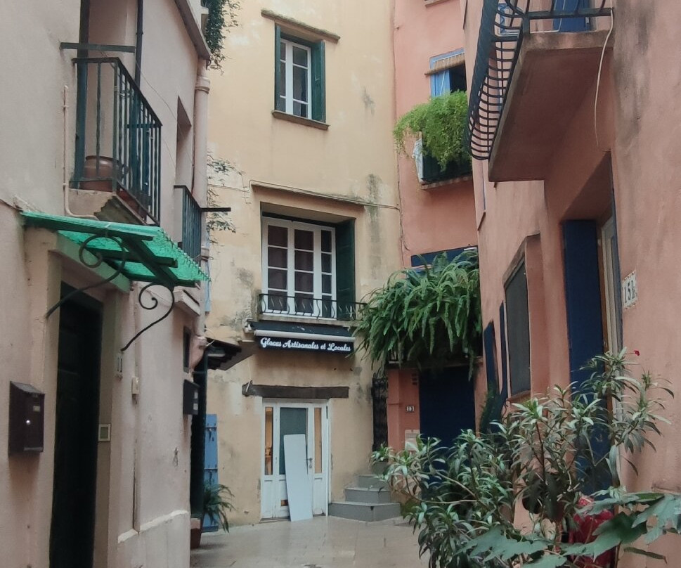 Quartier du Mouré-科利乌尔必去景点