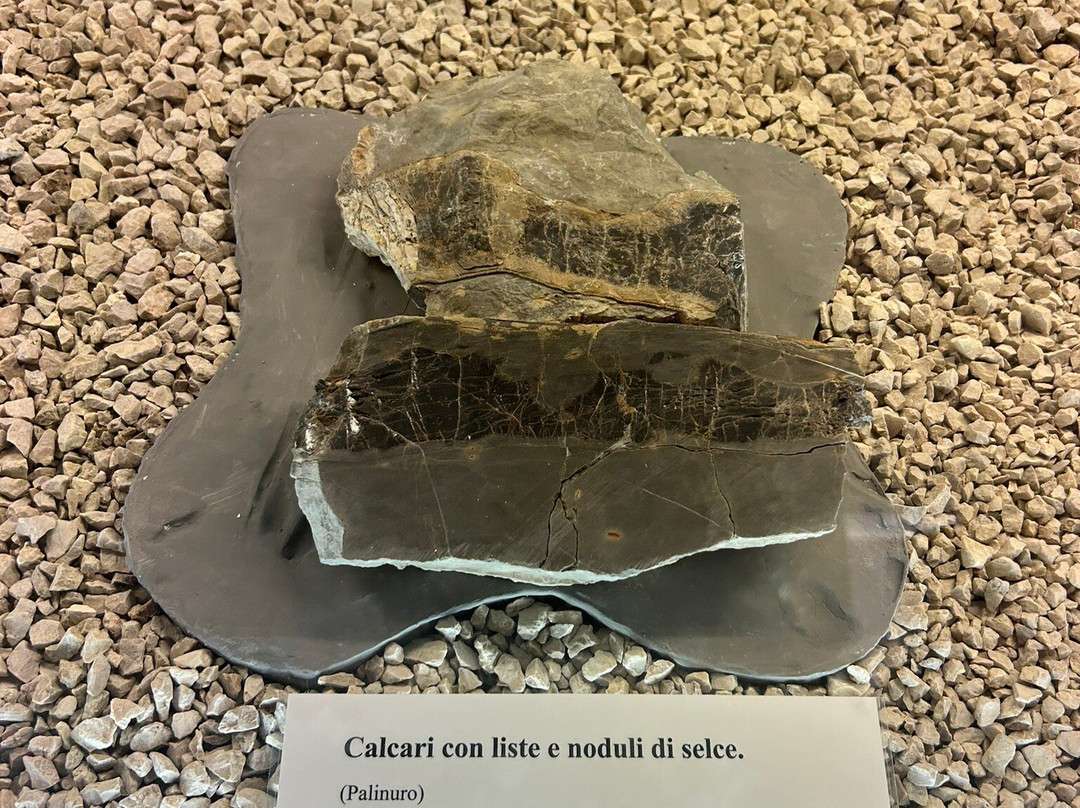 Museo Paleontologico-Magliano Vetere必去景点