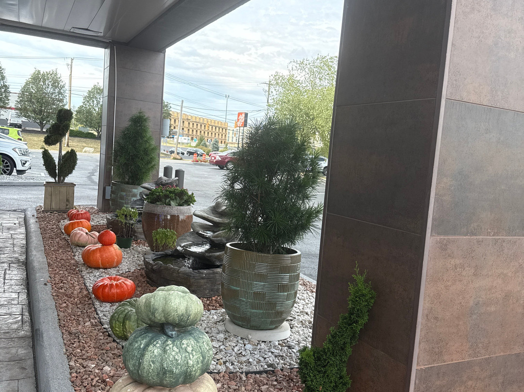 La Quinta Inn & Suites by Wyndham Cincinnati NE - Mason主图