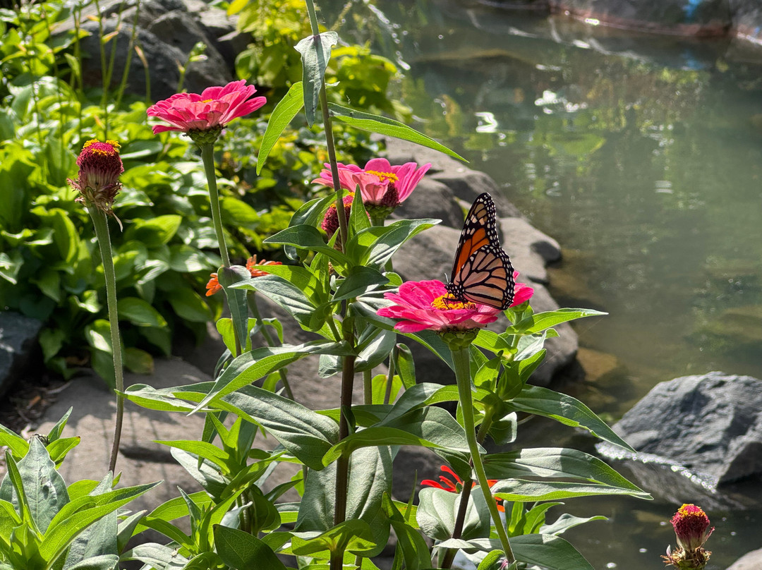 Mears Park-圣保罗必去景点