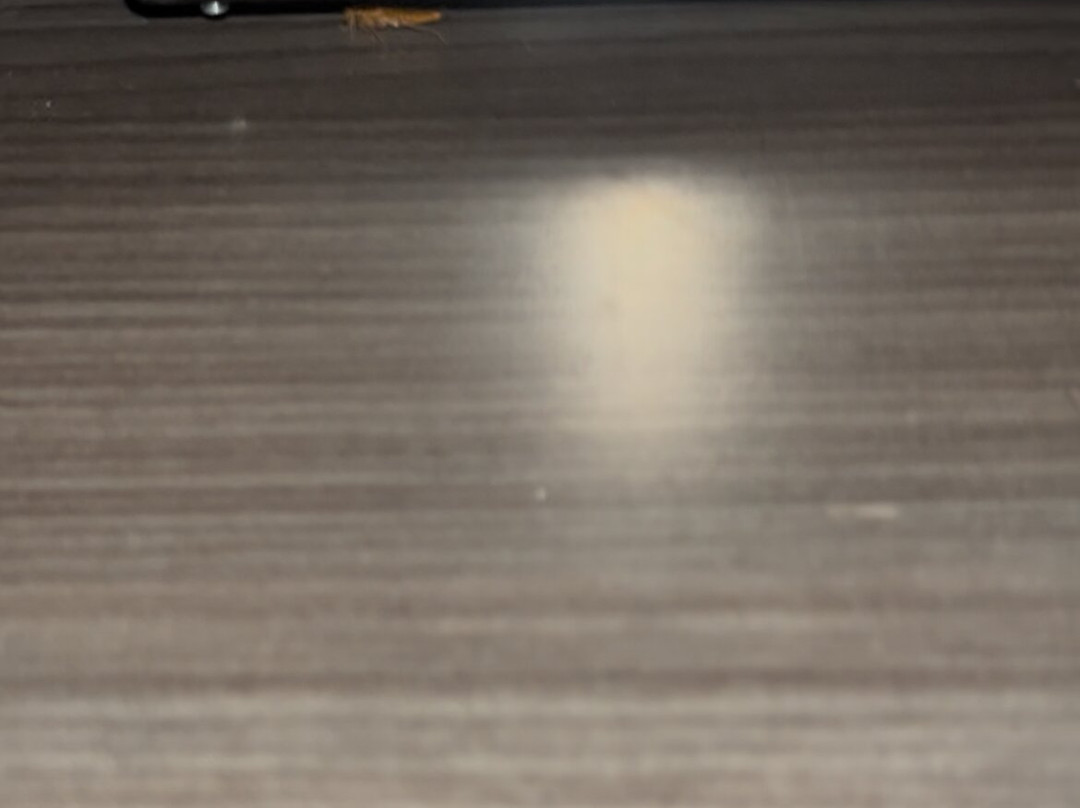 Super 8 by Wyndham Roseville/Detroit Area主图