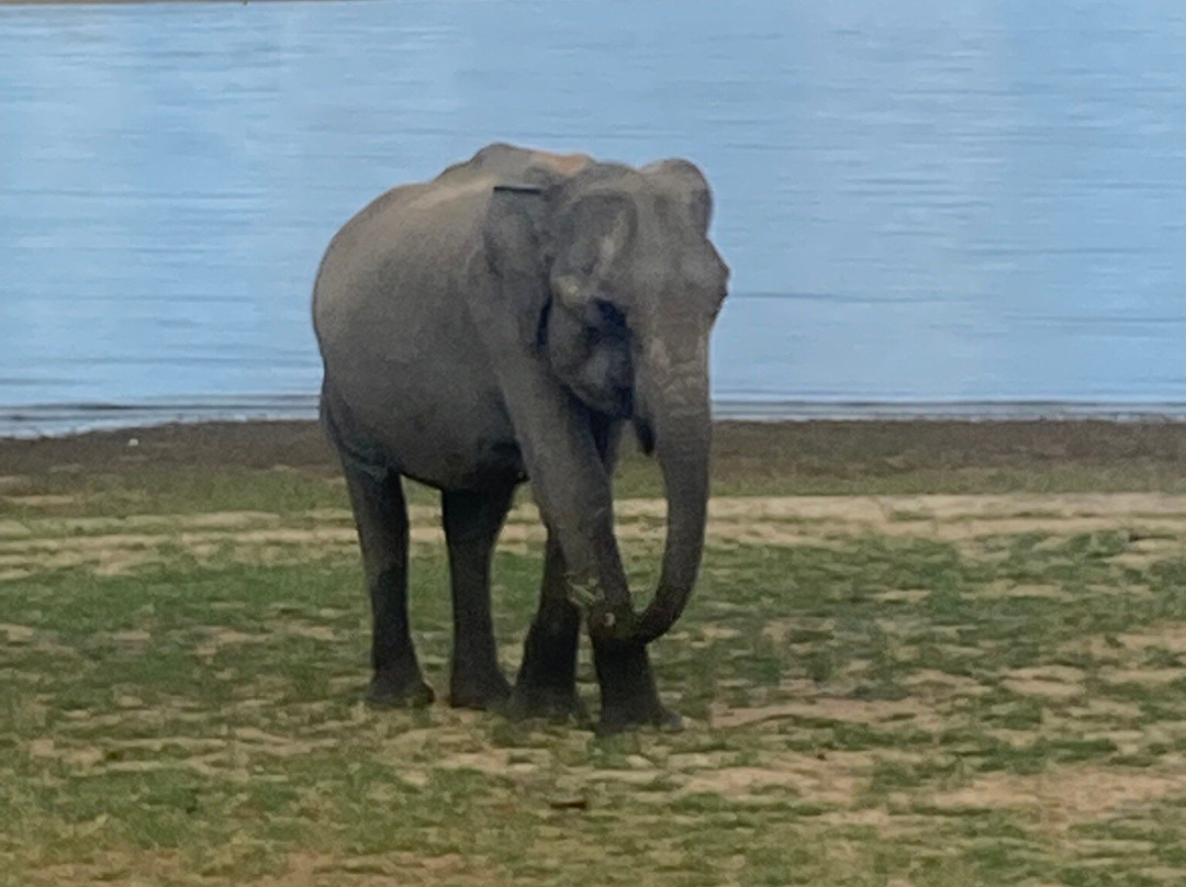 Udawalawe New Cab Service-Habaraluwewa必去景点