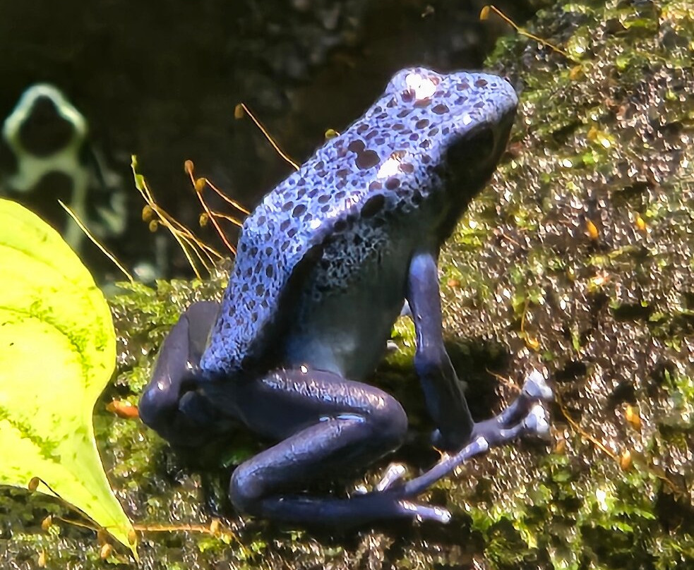 Newport Aquarium-Newport必去景点