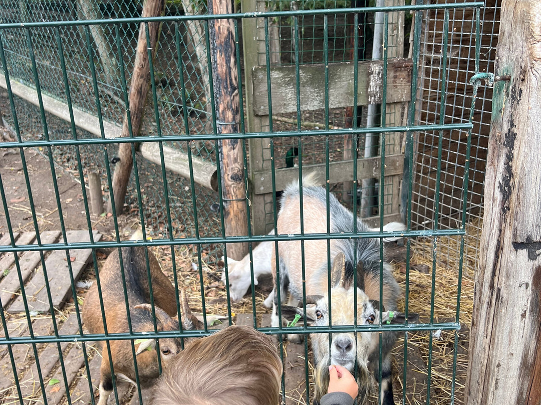 Uilen- en Dierenpark De Paay-Beesd必去景点