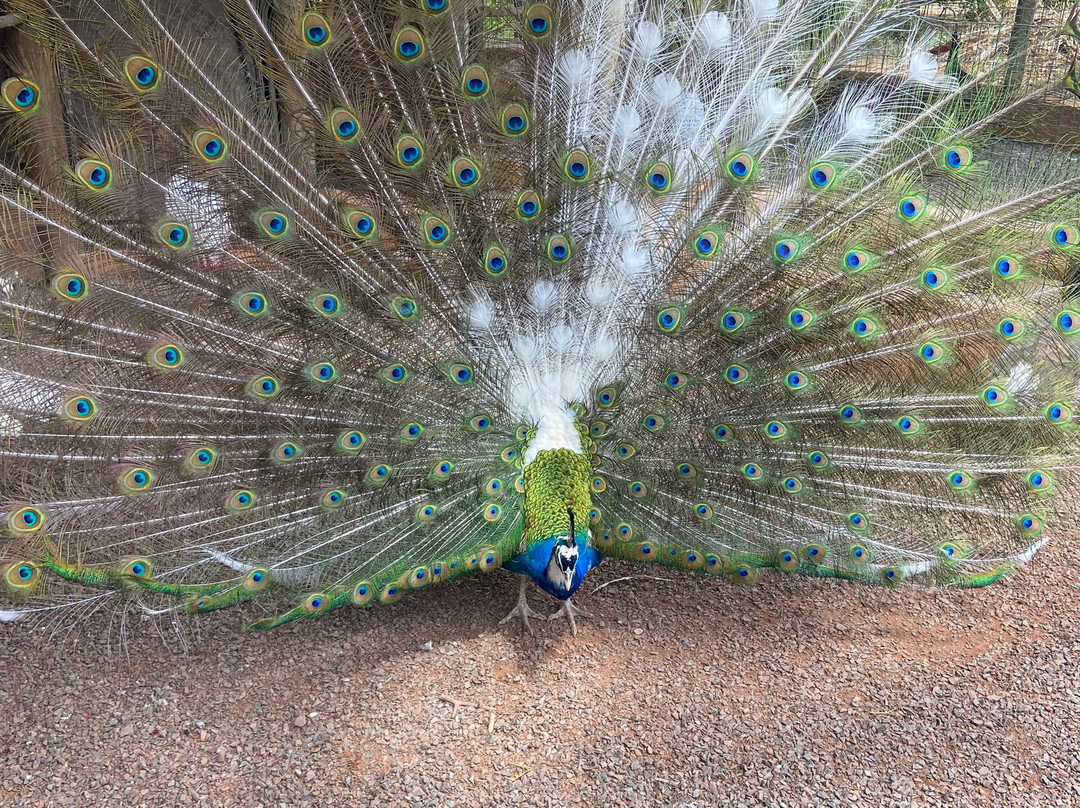 Fazendinha Zoomix-Franca必去景点