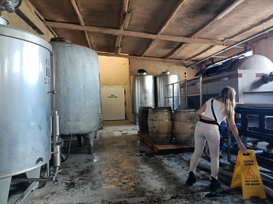 Varela Zarranz Winery-Canelones必去景点