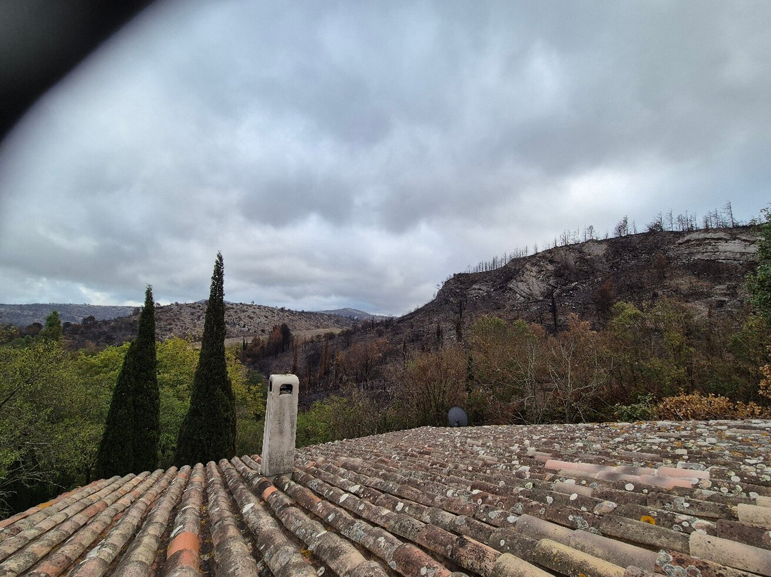 Eglise Sainte-Leocadie