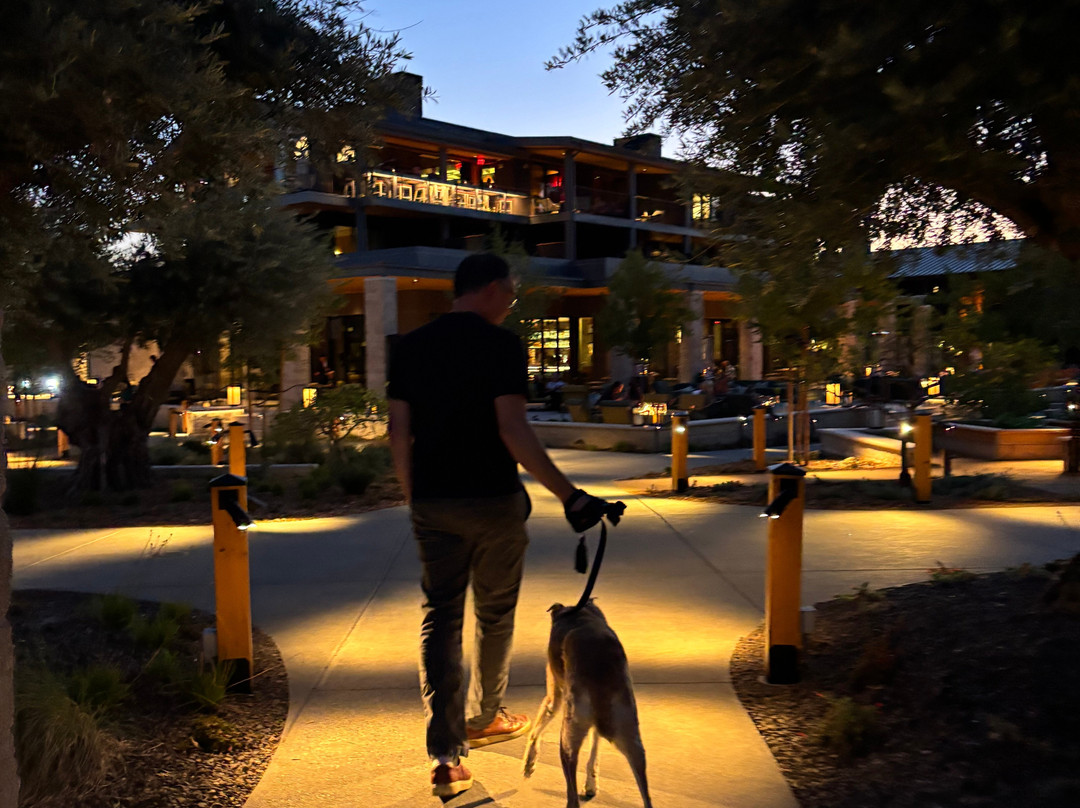 Appellation Healdsburg