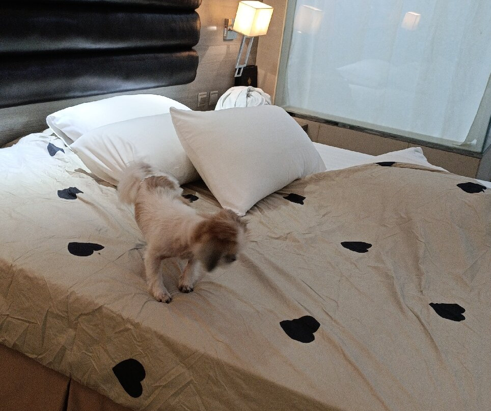 Prime Asia Hotel主图