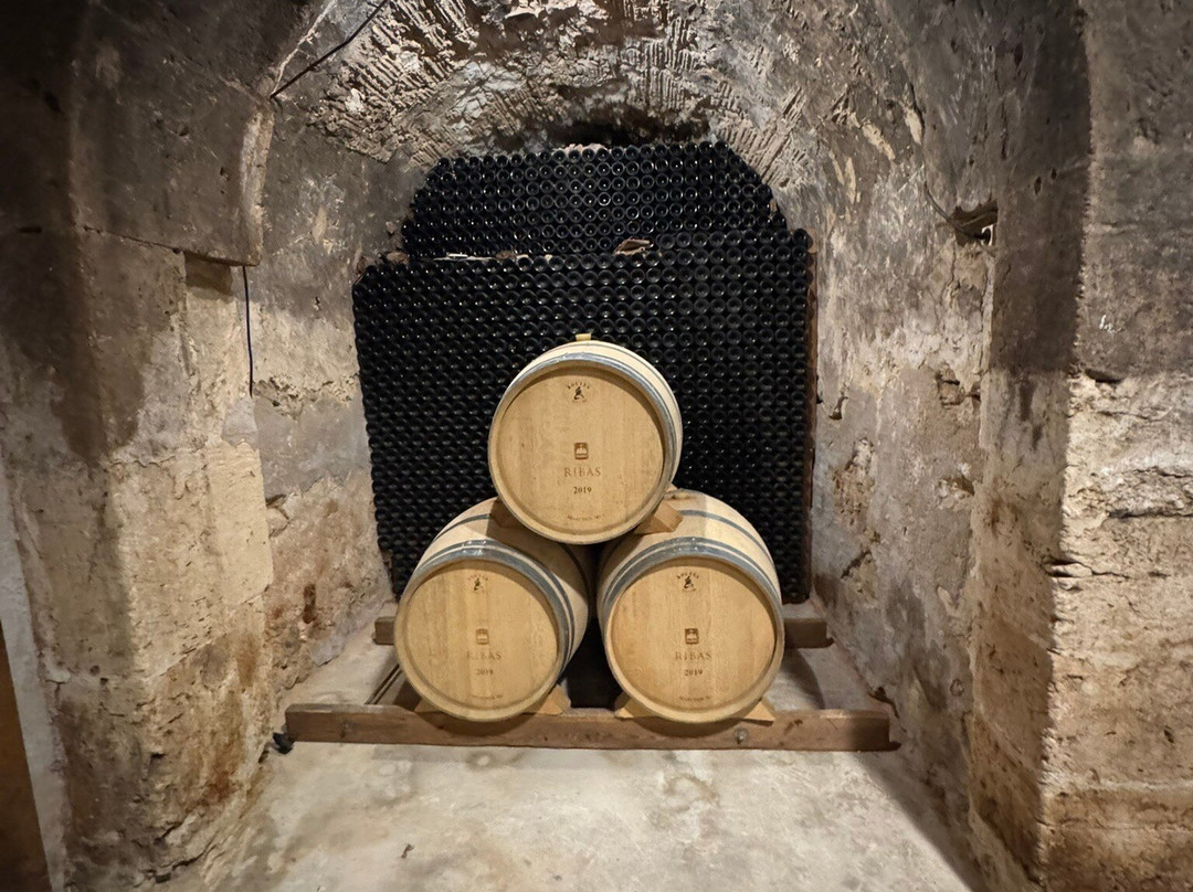 Bodega Ribas-Consell必去景点