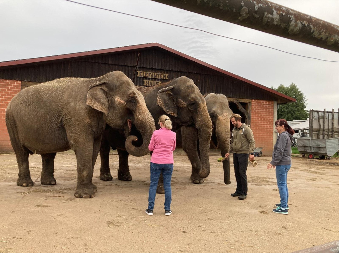 Tierpark Ströhen - Der Entdeckerzoo-Strohen必去景点
