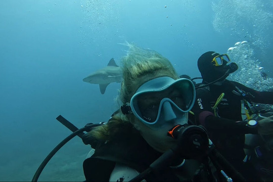 维德罗卡海湾度假村主图