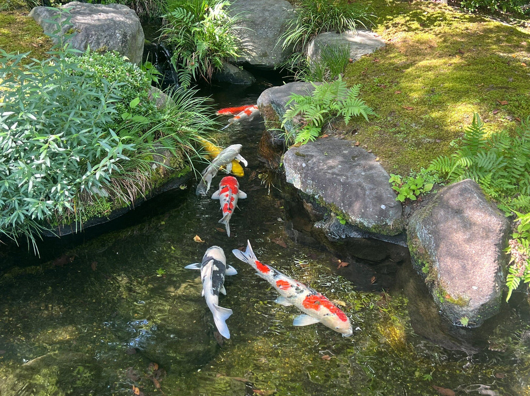 Japan Wonder Travel-Tsukiji必去景点