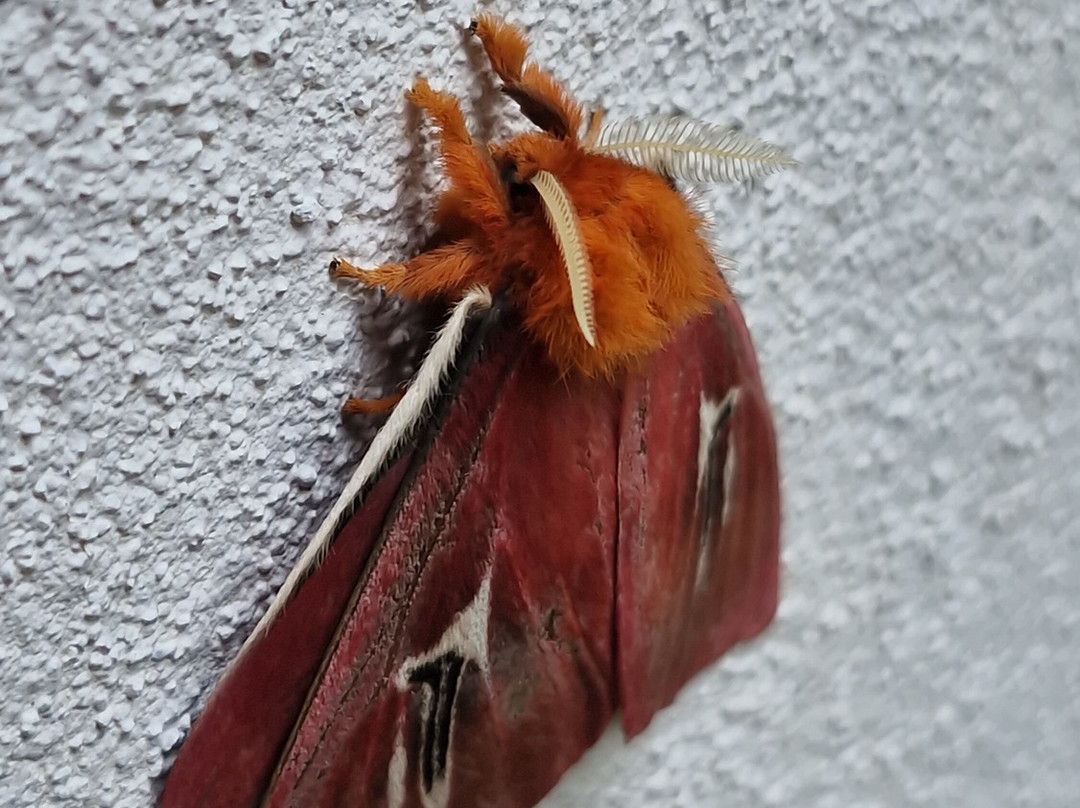 Cloudbridge Nature Reserve-San Gerardo De Rivas必去景点