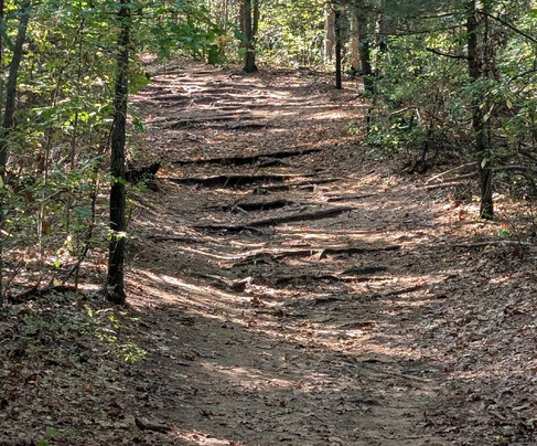 Provin Trails Park-大急流市必去景点