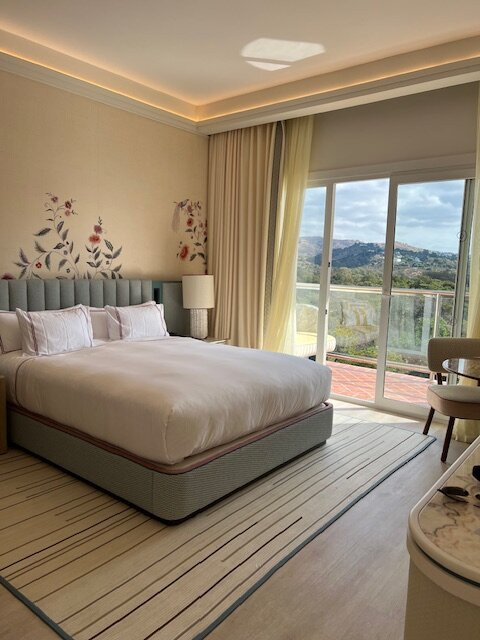 Don Carlos Marbella Hotel主图