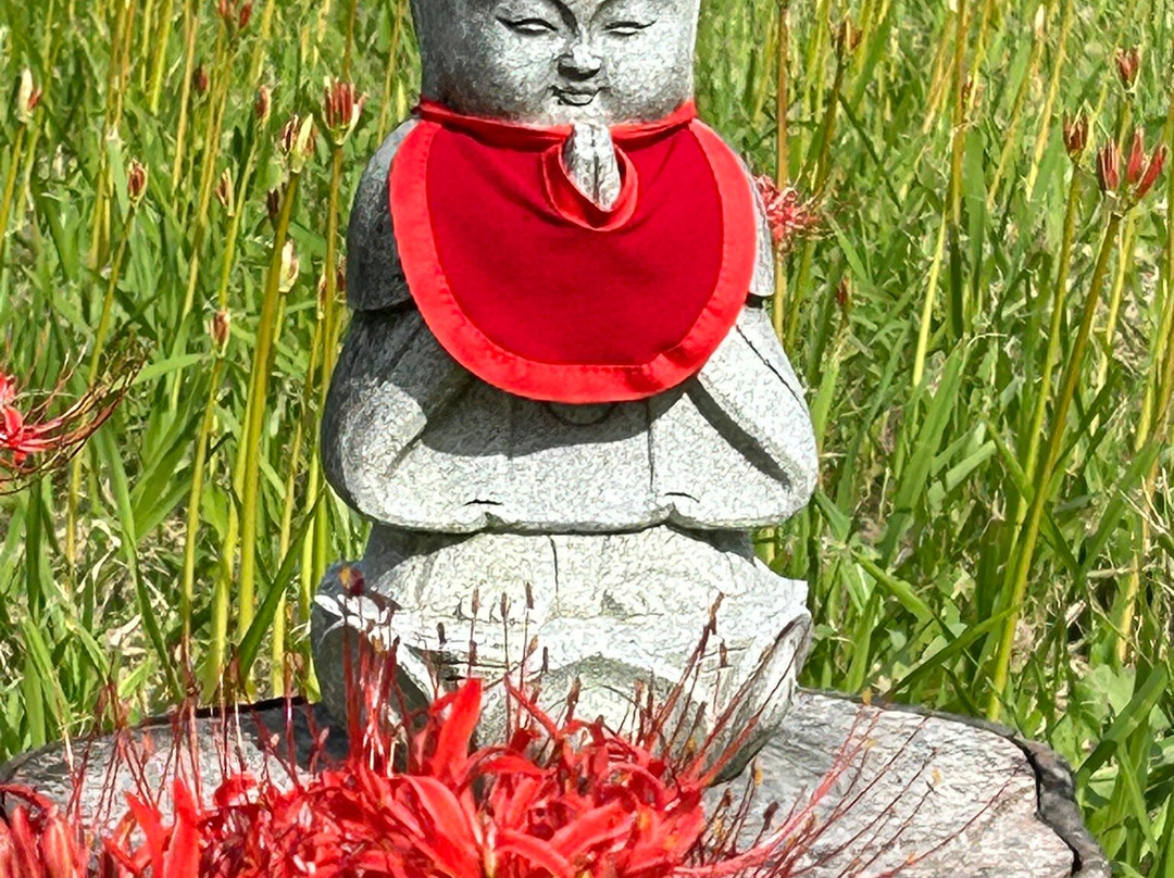 Kojo-in Temple-阿智村必去景点