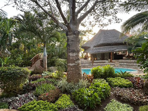 Follow Alice-莫西必去景点