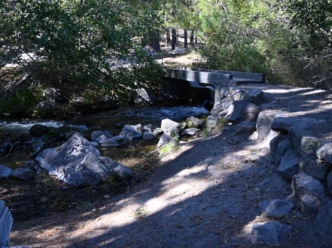 利西亚公园-阿什兰必去景点